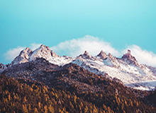 马德里网球公开赛:萨巴伦卡击败高芙获女单冠军